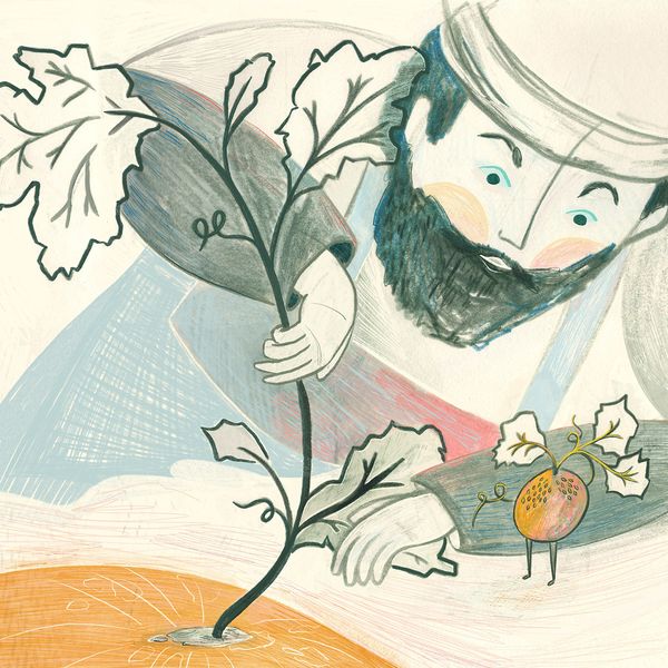 Cuento  - Podcast Cuentos Feroces